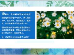 电影比悲伤更悲伤的故事讲出了多少人的无助与无奈9页.ppt