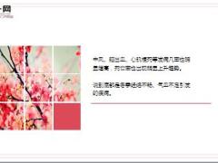 每日健康经络不通补什么都没用只用一招经络通畅百病消16页.ppt