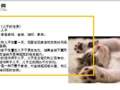 每日快乐早会19年4月12日使用12页.ppt