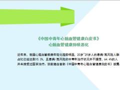 中国中青年心脑血管健康白皮书心脑血管健康持续恶化18页.ppt