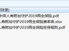 中英人寿附加守护2019两全保险条款费率投保规则.zip