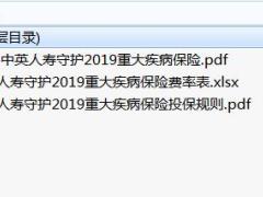 中英人寿守护2019重大疾病保险条款费率投保规则.zip
