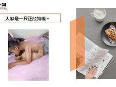 每日快乐早会19年4月16日使用12页.ppt