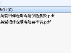 三峡美爱相伴定期寿险保险条款费率.zip