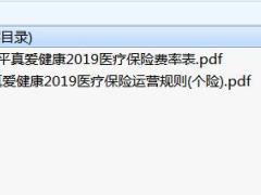 太平真爱健康2019医疗保险费率运营规则.zip