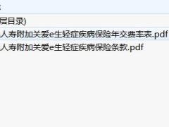 阳光人寿附加关爱e生轻症疾病保险条款费率.zip