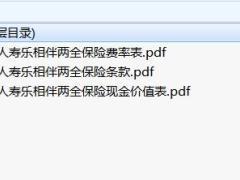中英人寿乐相伴两全保险条款费率现金价值.zip