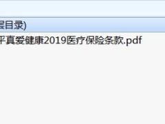 太平真爱健康2019医疗保险条款.zip