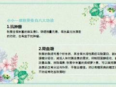 每日健康才几毛钱一根的绿色人参抗癌降糖补钙不吃亏大了14页.ppt