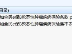 信泰附加全民e保B款恶性肿瘤疾病保险条款费率.zip