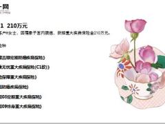 新华保险2019年3月十大赔案最高获赔210万14页.ppt