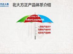 北大方正爱无忧健康福多多年金产品解析34页.pptx