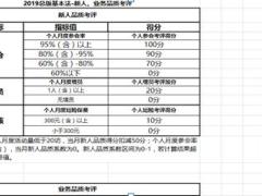 国寿各档新人组经理处经理区域总监品质考评速查表3页.xlsx