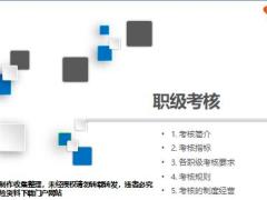 国寿营销员基本法考核解读含经典案例31页.pptx