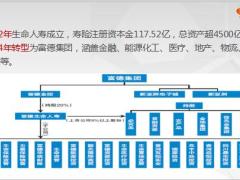 迎新早会流程富德生命版36页.pptx