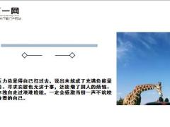 每日鸡汤励志人生人生没有过不去的坎只有过不去的人.zip