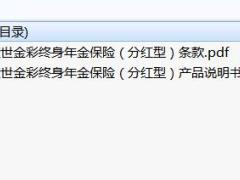 太平盛世金彩终身年金保险分红型条款说明书.zip