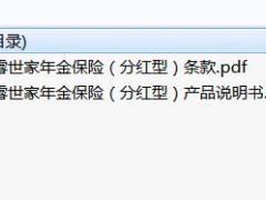 中宏安睿世家年金保险分红型条款说明书.zip