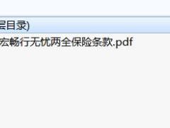 中宏畅行无忧两全保险条款.zip