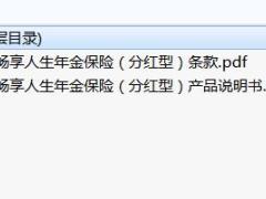 中宏畅享人生年金保险分红型条款产品说明书.zip