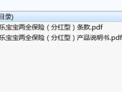 中宏快乐宝宝两全保险分红型条款产品说明书.zip