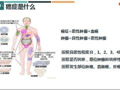 向癌而生如何做健康管理34页.pptx