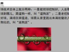 每日快乐早会19年4月28日使用12页.ppt
