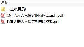 渤海人寿人人保定期寿险条款费率.zip