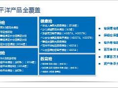 太平洋公司产品体系介绍25页.pptx