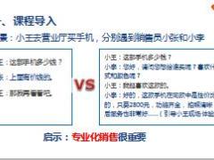 专业化销售流程步骤要点总结19页.pptx