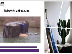 每日快乐早会19年4月29日使用12页.ppt