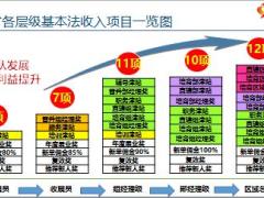 国寿基本法业务系列主管系列收入项目以B版为例32页.pptx