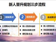 新人规划三次面谈流程成果典范收获感悟27页.pptx