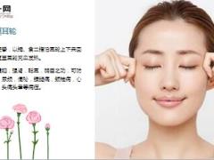 每日健康耳朵上面有个肾开关拉一拉肾气十足14页.ppt