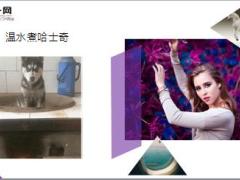 每日快乐早会19年5月5日使用12页.ppt