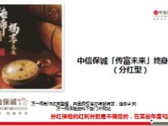 中信保诚传富未来终身寿险背景目标责任8页.pptx