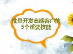 批量开发高端市场下17页.pptx