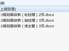 规划面谈表准主管组经理处经理国寿版.rar