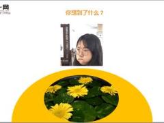 每日快乐早会19年5月14日使用12页.ppt