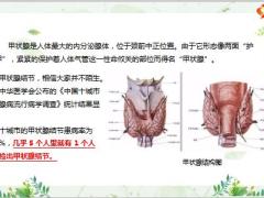 太平人寿五月康瑞退市宣导15页.pptx
