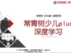 华夏常青树少儿plus深度学习案例解析优势总结22页.pptx
