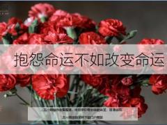 每日鸡汤励志人生抱怨命运不如改变命运.zip