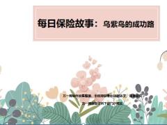 每日保险故事乌紫鸟的成功路9页.ppt