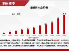 国华人寿发展历程公司优势梦想舞台37页.pptx