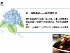 每日健康排毒必吃的三道菜现在吃起来还不晚9页.ppt