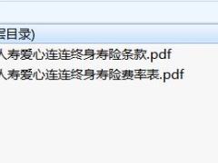 爱心人寿爱心连连终身寿险条款费率.zip