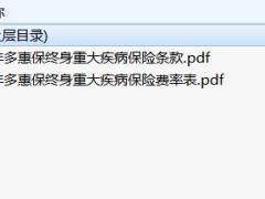 百年多惠保终身重大疾病保险条款费率.zip