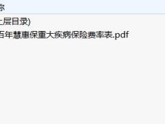 百年慧惠保重大疾病保险费率表.zip