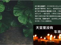 著名导演梁志成遭遇车祸身亡有孕在身的老婆仍在抢救18页.ppt