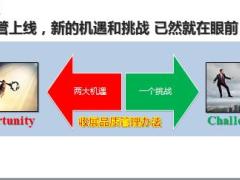 2019年5月新品管新机遇关键举措15页.pptx